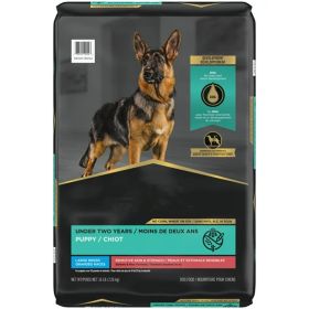 Large Breed Puppy Dry Dog Food for Puppies;  16 lb Bag