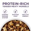 High Protein Dry Senior Dog Food Plus Vibrant Maturity Adult 7 Plus Formula